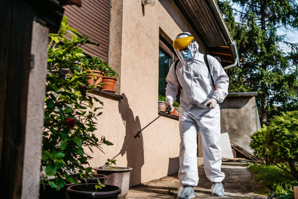 Best Pest Removal Services  in Santa Ana, CA