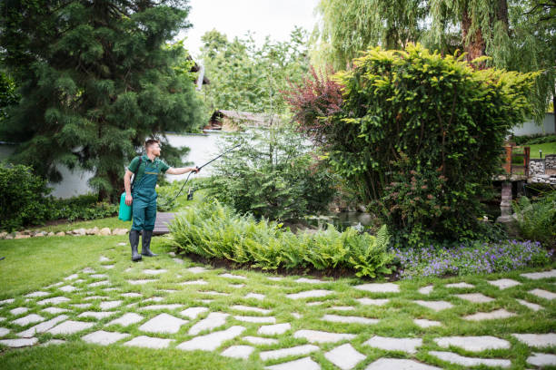 Best Best Pest Control Companies  in Santa Ana, CA