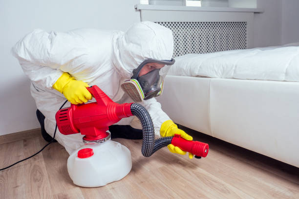 Best Bed Bug Extermination  in Santa Ana, CA